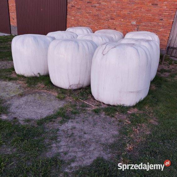 Siano i sianokiszonka