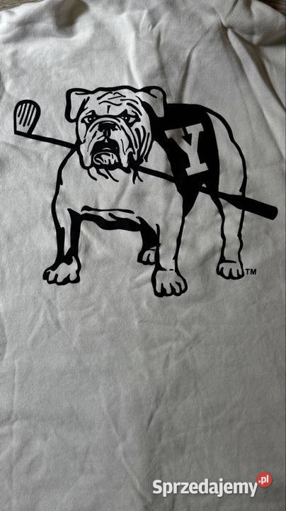 Bluza HsM Yale university Bielawa