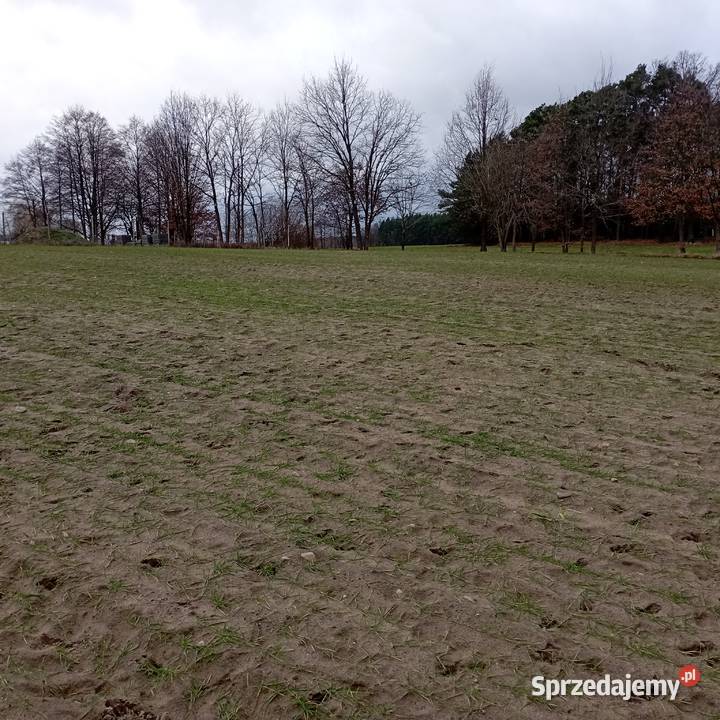 Wytomyśl Wypoczynkowa działka budowlana na 1250m2 sprzedam