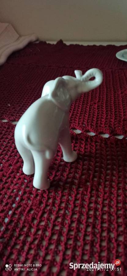 Figurka porcelanowa słoń
Biała porcelana Gdańsk sprzedam
