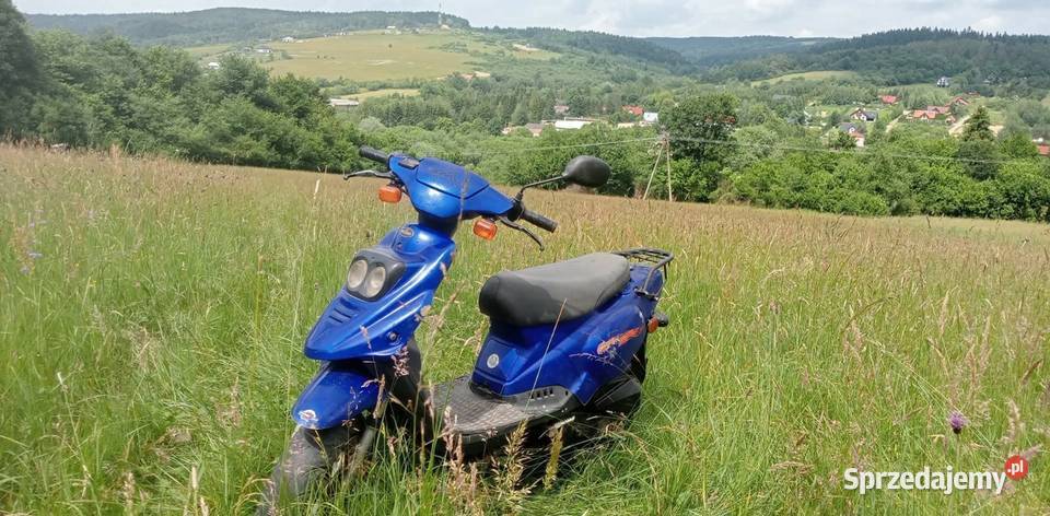 Skuter tgb Pegasus 101s orion na części