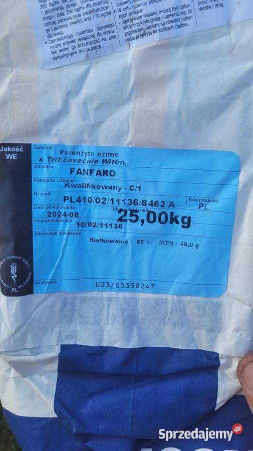 Pszenżyto ozime Fanfaro 2025 sprzedam