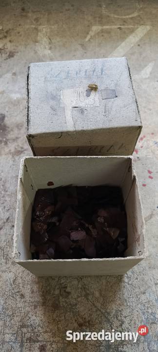 Szelak bursztynowy Rzeszów