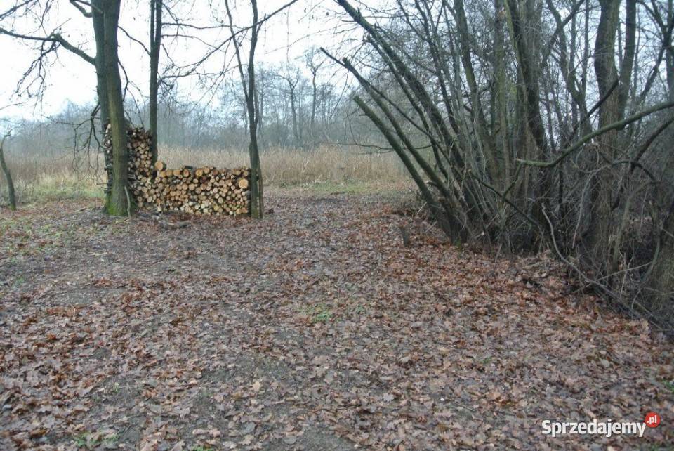 Grunt Zagrody 2400m2 2400m2