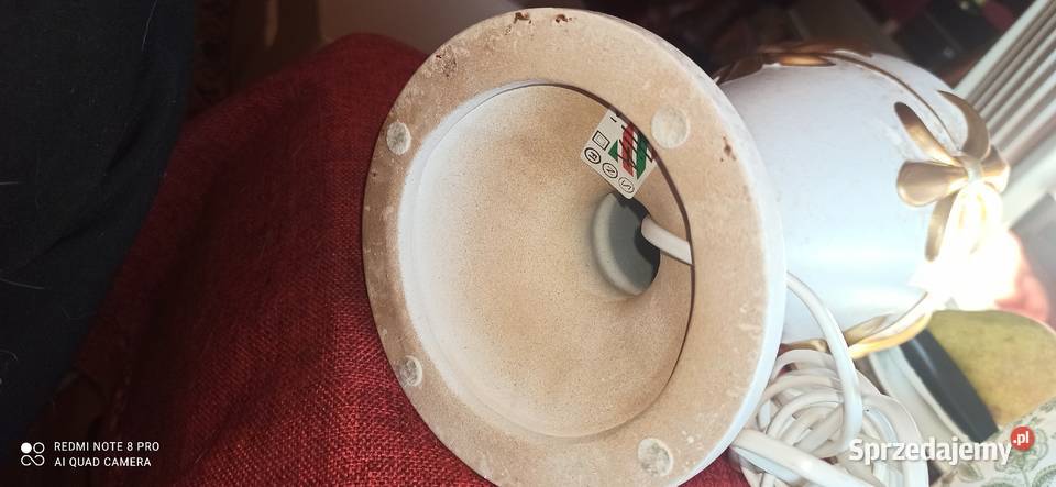 Lampa elektryczna lilijkami
4 złote Pozostałe Gdańsk