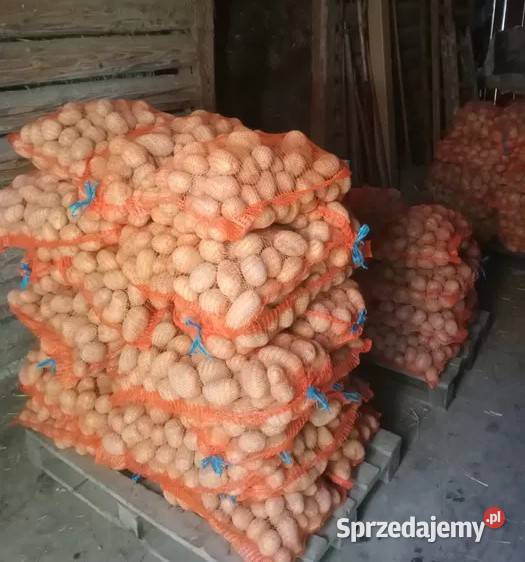 Ziemniaki jadalne Rośliny okopowe