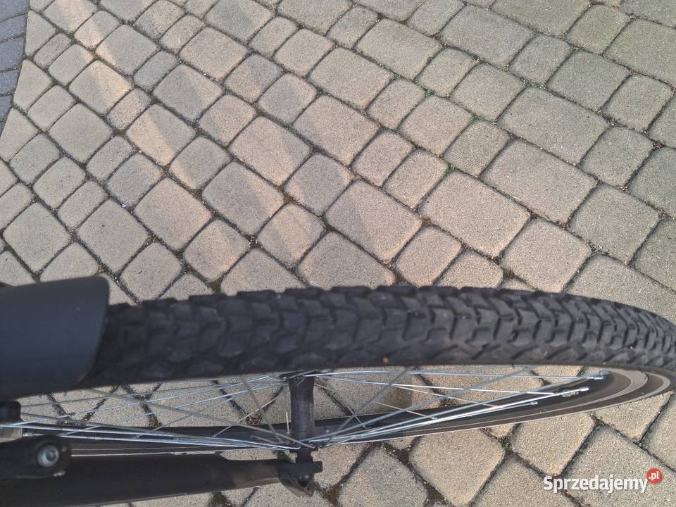 Kross atlantic Szosowe Sport i Wypoczynek Mielec
