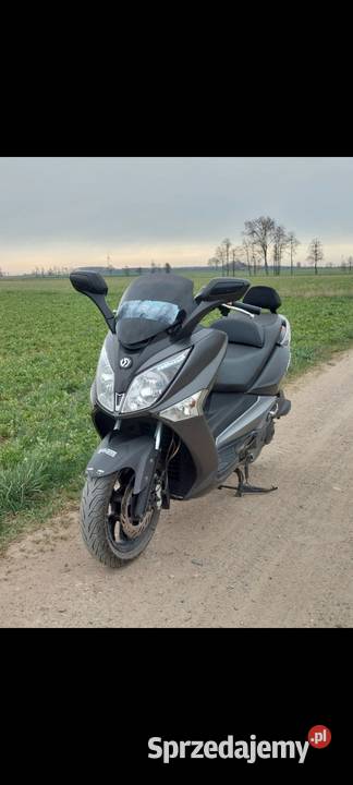 Sym GTS125i Kłodawa