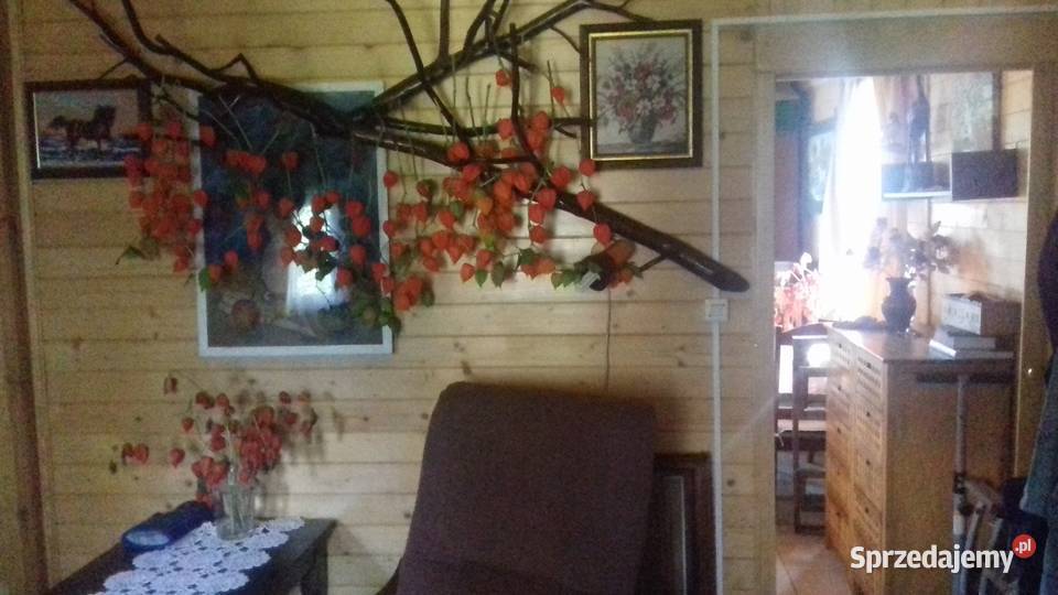 Zadbana działka ROD Kamieńczyk 500m2 z domem i Sprzedaż