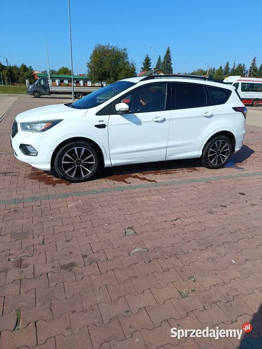 Ford Kuga Stline Suchedniów