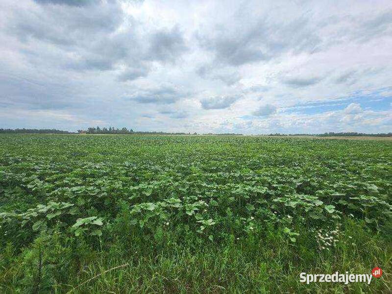 Niezabudowana nieruchomość rolna łączna pow