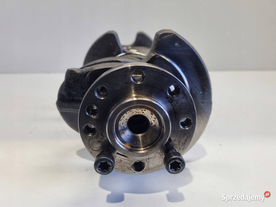 Volvo S40 II V50 20 D WAŁ KORBOWY 30725011 Blok silnika Rudka