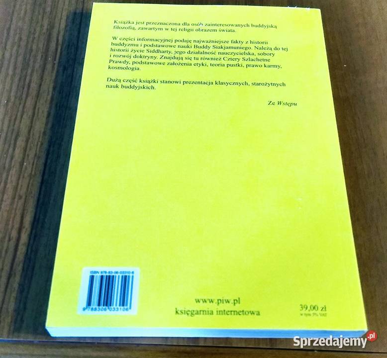 Buddyzm w oczach filozofa Michał Tempczyk Podręczniki Gdańsk