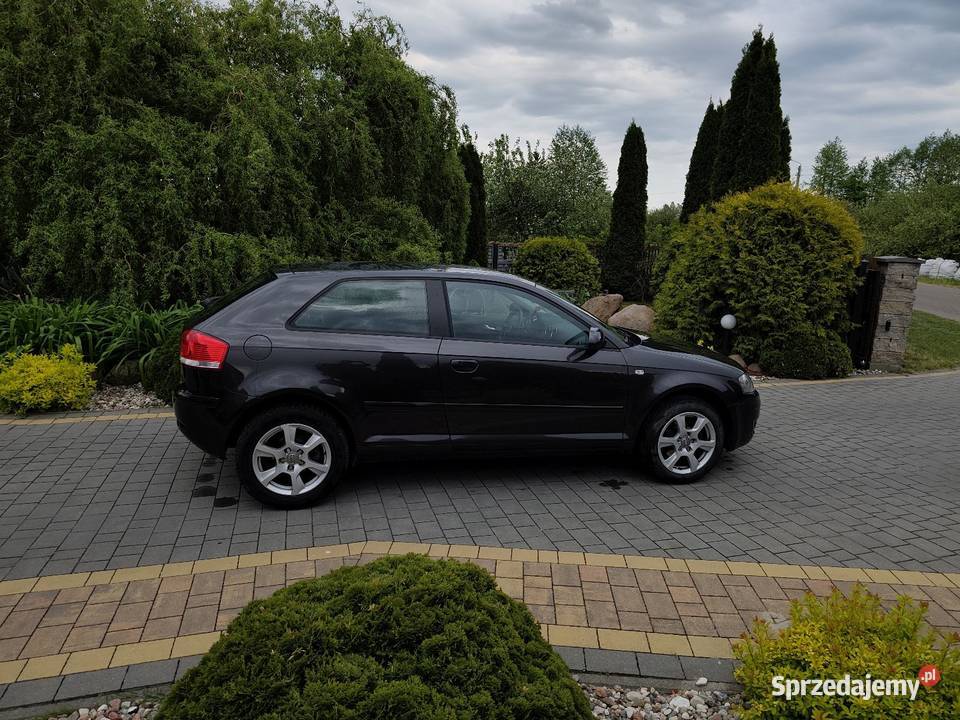 Audi a3 8p 16 mpi 102KM A3 Radzyń Podlaski