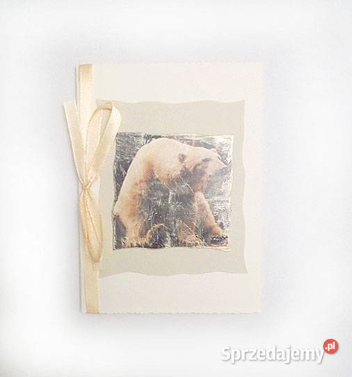kartka z niedźwiedziem kartka z białym misiem Olsztyn sprzedam