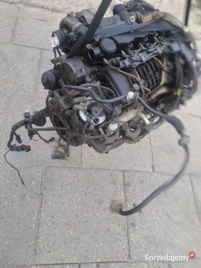 Volvo C30 S40 II V50 V70 III 16D 109 silnik Rok produkcji 2010 Jastrzębie-Zdrój