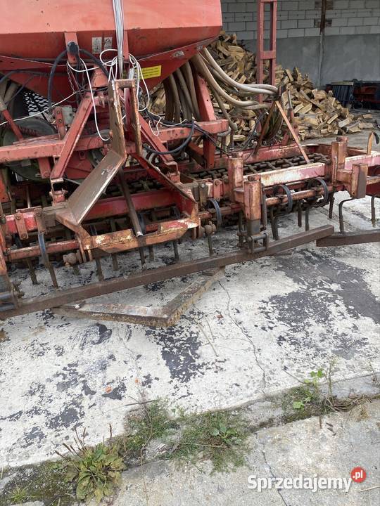 Siewnik akord lubuskie