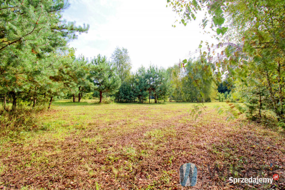 Dom wolnostojący 17743m2 Ogonowo 177.43m2 Sprzedaż sprzedam