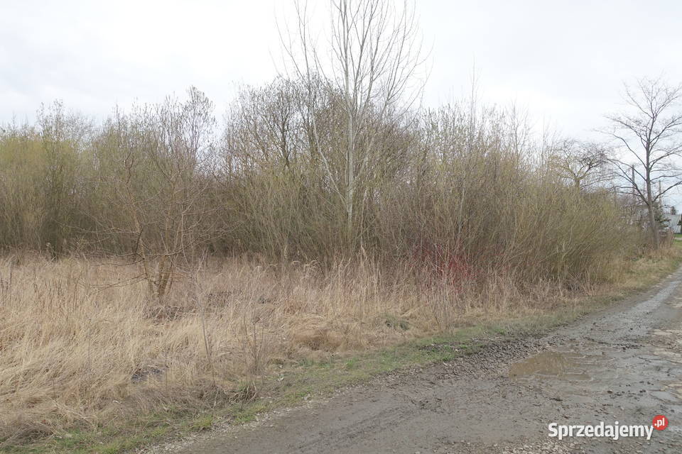 Syndyk sprzeda działkę na Skrajnej SP strefa Sprzedaż Kielce