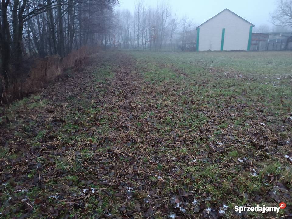 Działka siedliskowa 30 ar Rozkopaczew między Lubartów