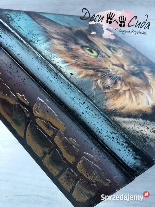 Pudełeczko szkatułka z kotem decoupage wielokolorowy Kraków