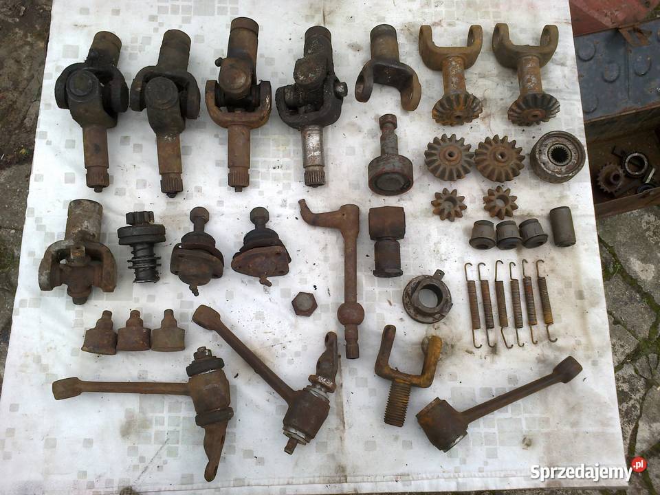 Syrena zestaw Pozostałe wielkopolskie