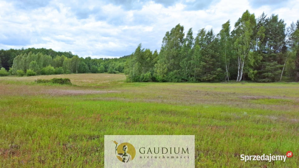 DUŻA DZIAŁKA ROLNA Z LASEM MĘCIKAŁ gm Brusy