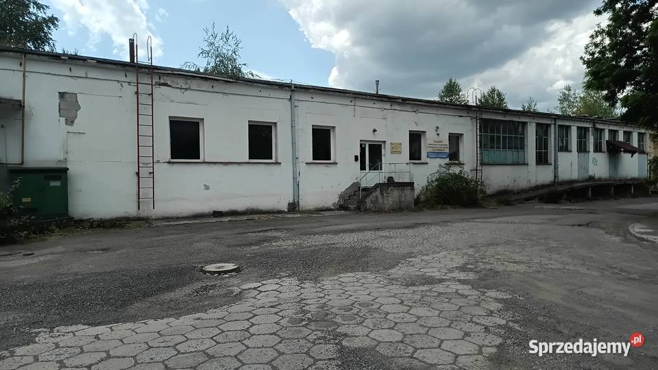 Syndyk sprzeda dwie hale produkcyjne biuro Kudowa-Zdrój