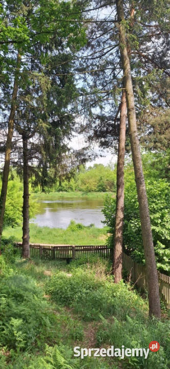 Azyl Narwią domy z widokiem który inspiruje 100 Dyszobaba