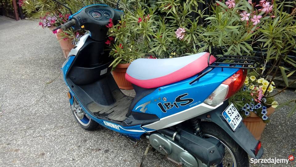 Skuter kingway 5080 ibis keewey router romet 4KM