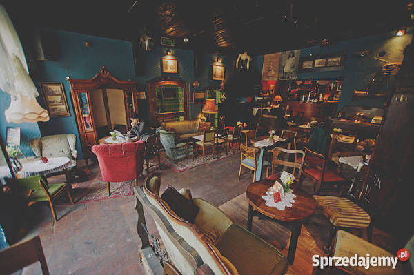 Wrocław Stare Miasto PUB dobrze prosperujący ods