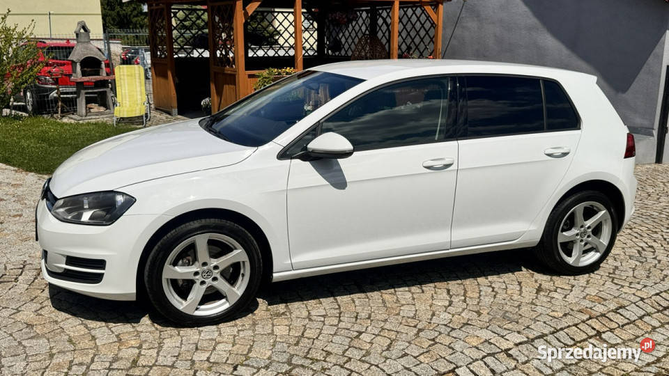Volkswagen Golf VII 12 TSI 87 5drzwi Bały 2 kpl elektryczne lusterka dolnośląskie Strzegom