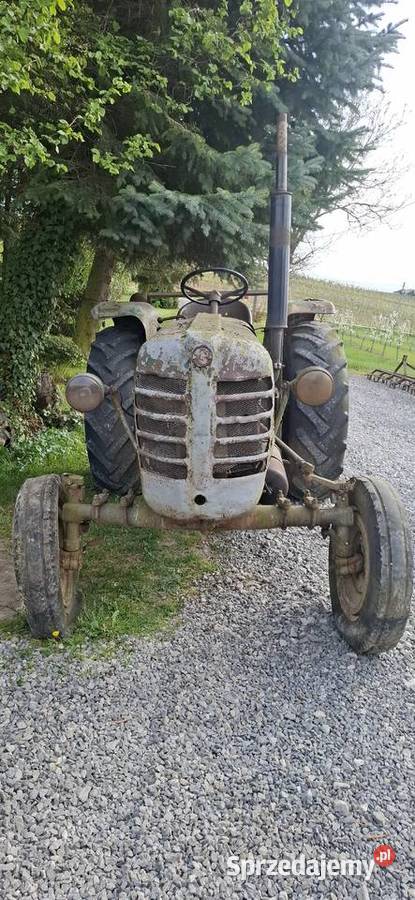 Tanio URSUS 4011 Sandomierz