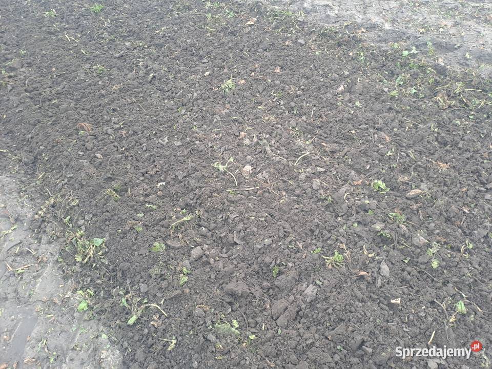 Agregat Uprawowy Wysoka Graczka 24m 240m Brześć Kujawski
