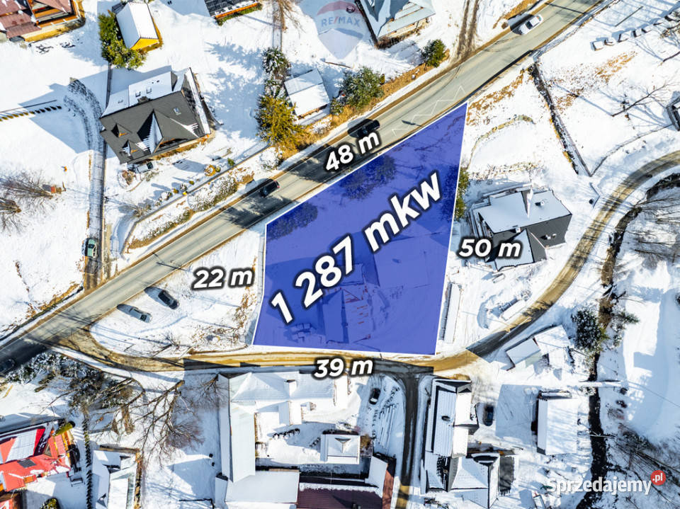 Dom z budynkiem gospodarczym Dzianisz 1287m2