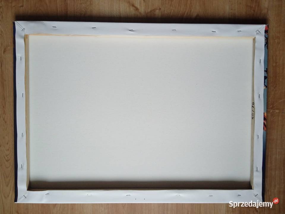 Kwiaty Maki na płótnie 50 x 70 Poznań