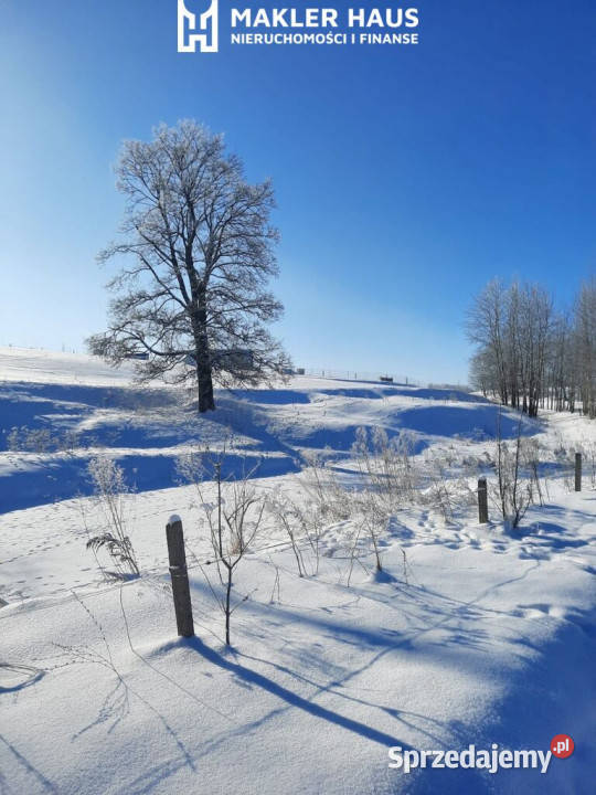 Malownicza działka w Jasionowie asfalt Żubryn