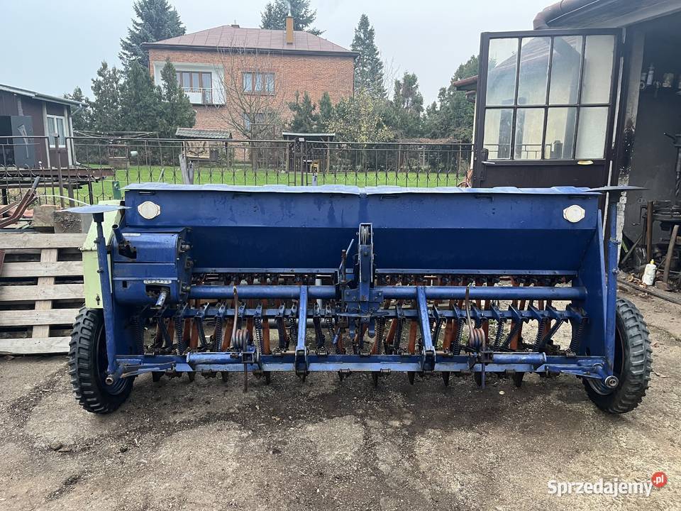 Siewnik poznaniak Jarosław