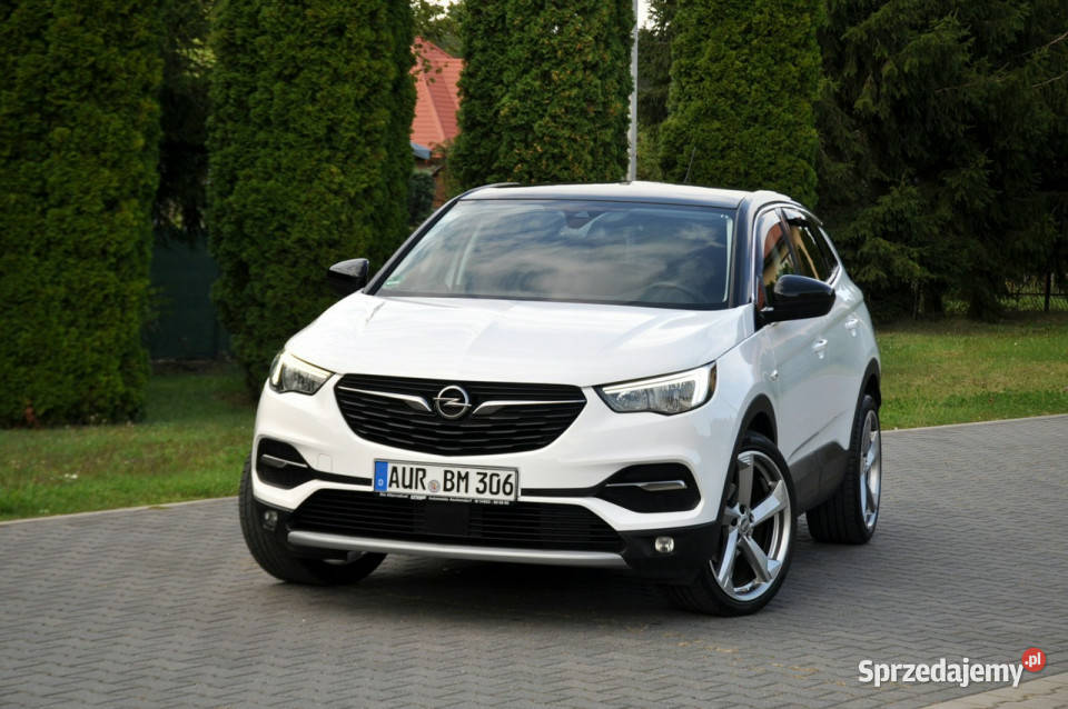 Opel Grandland X 20D177LedAutomatCar komputer pokładowy Ostrów Mazowiecka sprzedam