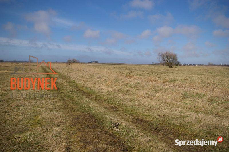 Działka rolna Domasławice Sprzedaż
