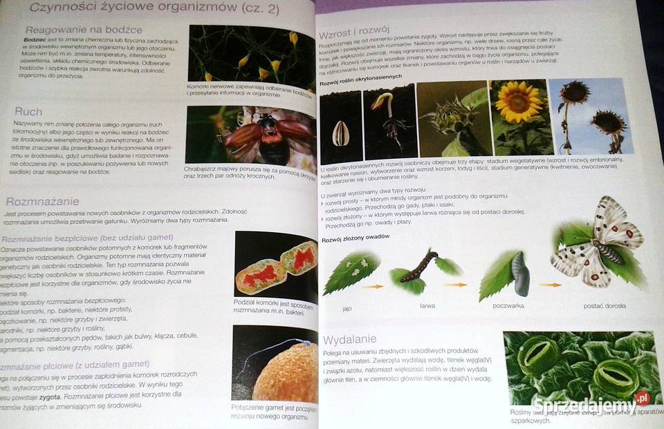 Biologia na czasie Emilia Bonar S Czachorowski lubelskie sprzedam