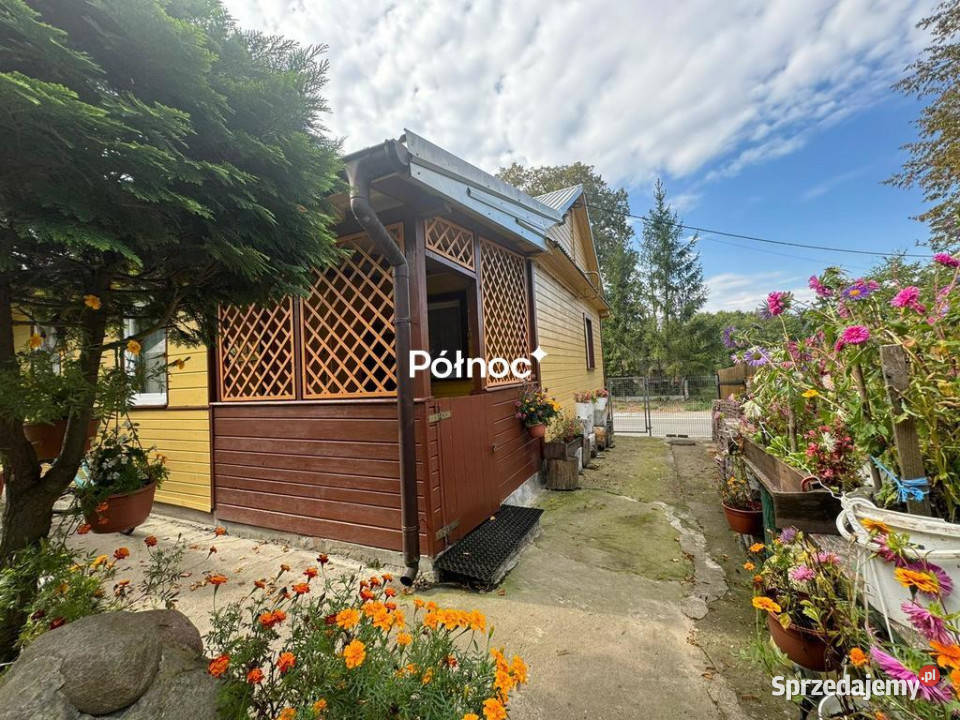 Siedlisko w Boruskach tereny nadbużańskie blacha mazowieckie