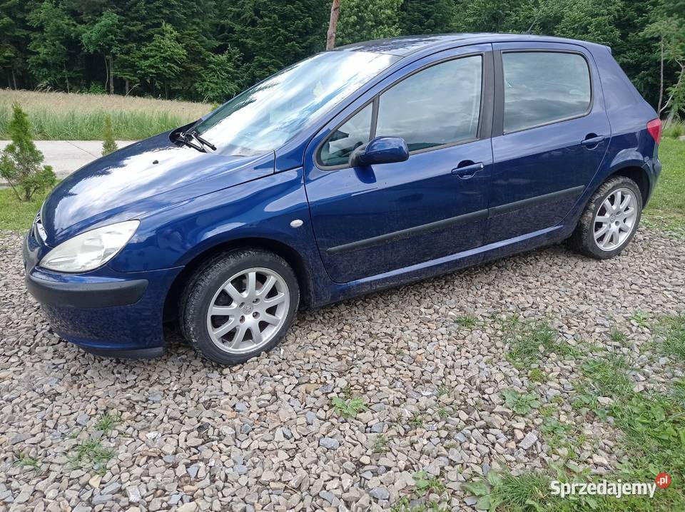 Peugeot 307 manualna 307 małopolskie Kąclowa