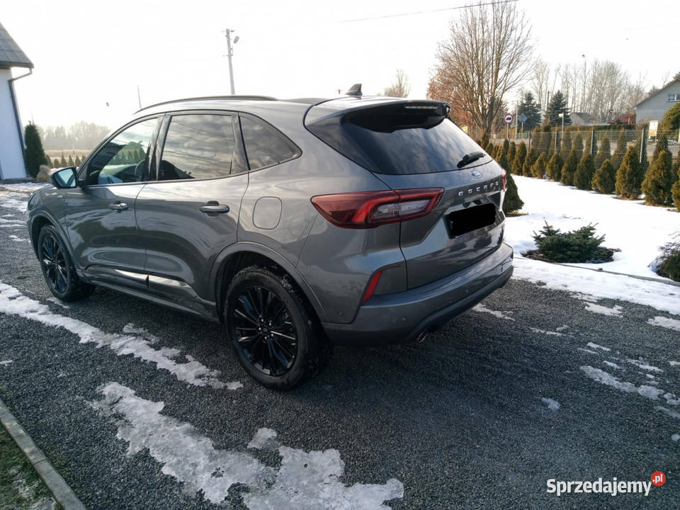 Ford Escppe Mk4 Lift St Line Elite 20 4x4 podkarpackie Jamy