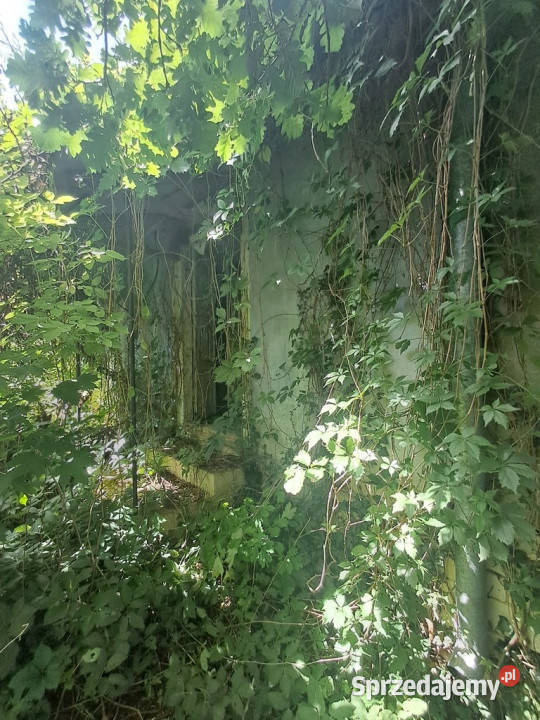 Gm Rybczewice Częstoborowice siedlisko 20ar eternit