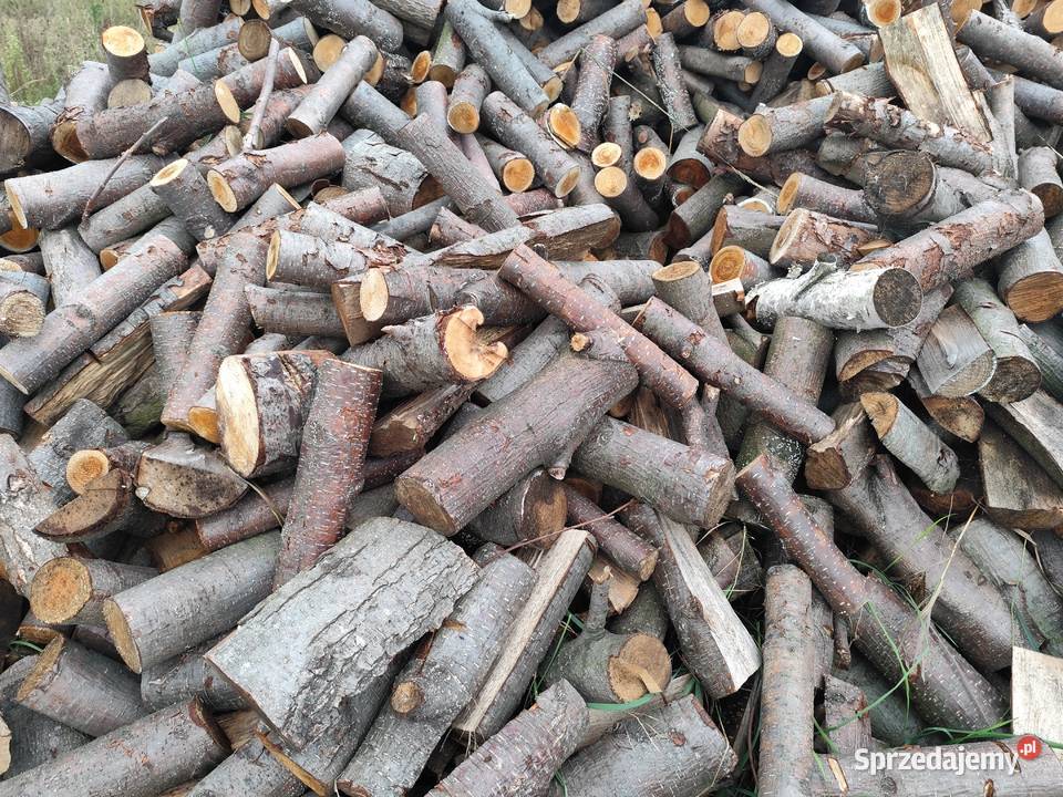 Drewno opałowe osika brzoza olcha inne liściaste Radom