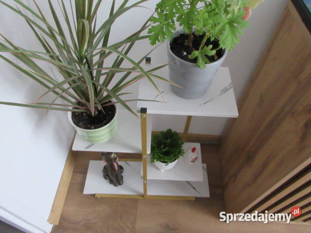 KWIETNIK nowy Pozostałe Kraków