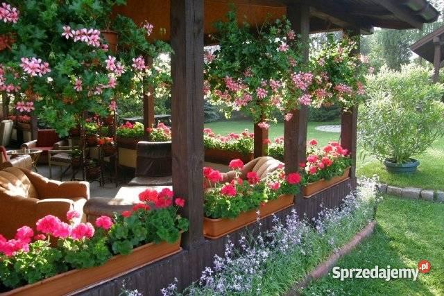 Dom pensjonat w Łagowie jeziorami 800 m2 1 piętro Łagów