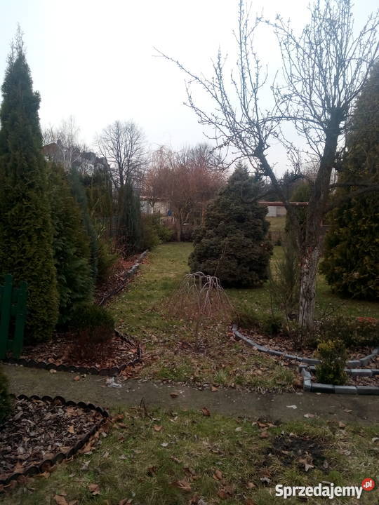 sprzedam działka rod zgierz