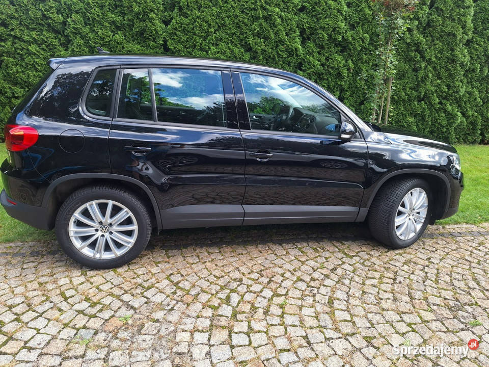 Volkswagen Tiguan BlueMotion Technology Trend nawigacja Siewierz